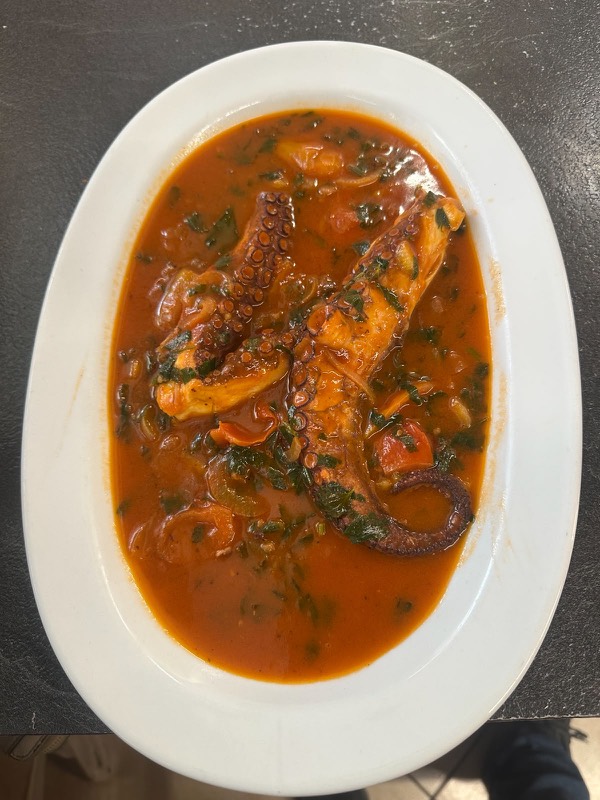 Octopus in tomato sauce